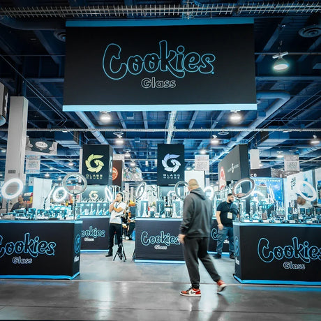 How to Choose Your First Cookies Glass Water Pipe: A Beginner's Guide